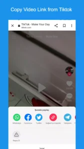 SSSTiktok TT Video Downloader 2
